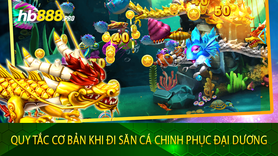 Quy Tắc Cơ Bản Khi Đi Săn Cá Chinh Phục Đại Dương
